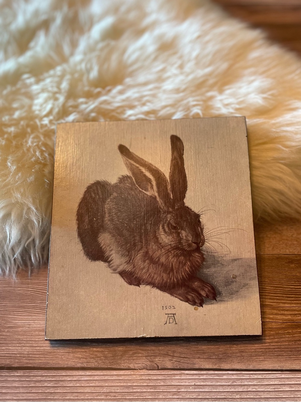 Mid-Century Young Hare transfer ~ Berlin